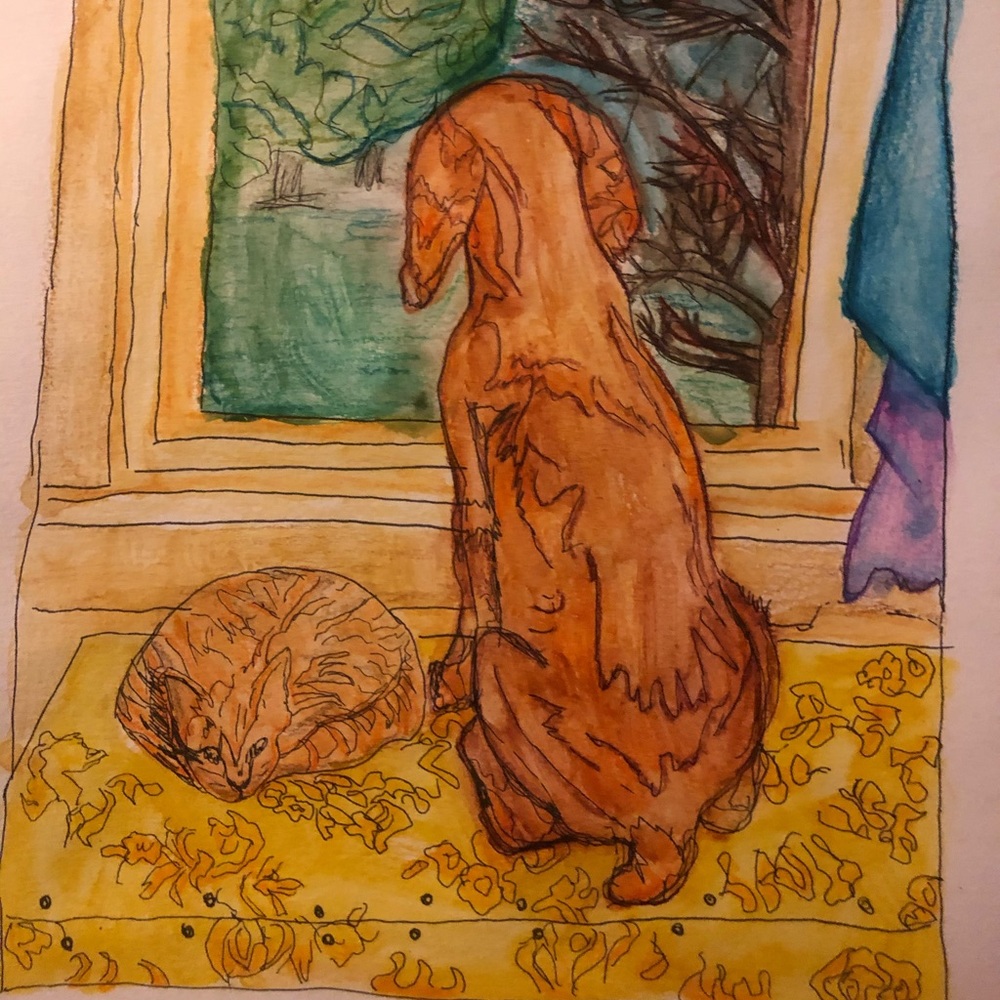 Cat & Dog at window
